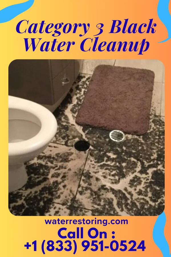 Category 3 Black Water Cleanup in Pennsboro, WV