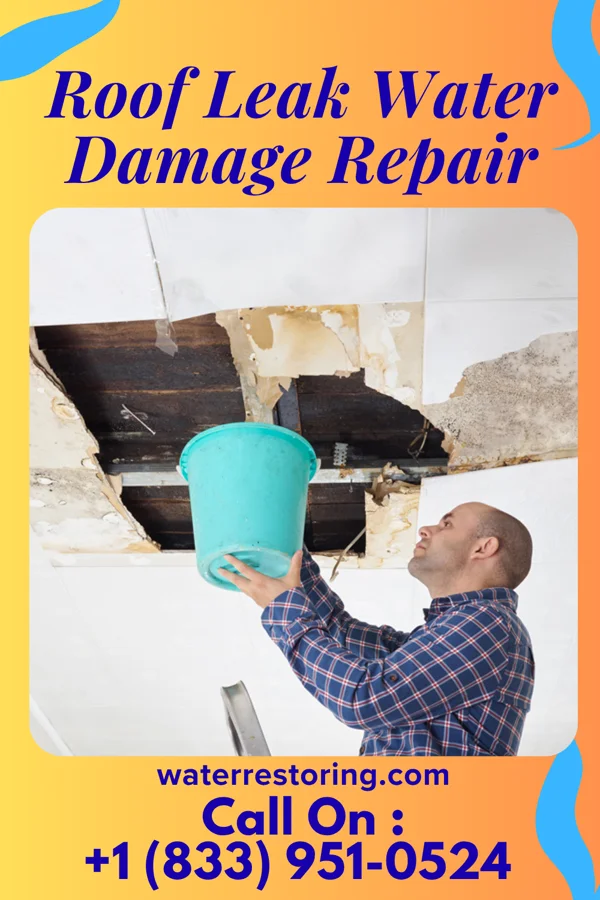 Roof Leak Water Damage Repair in Pennsboro, WV