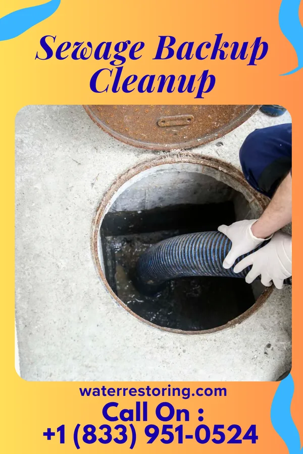 Sewage Backup Cleanup in Pennsboro, WV
