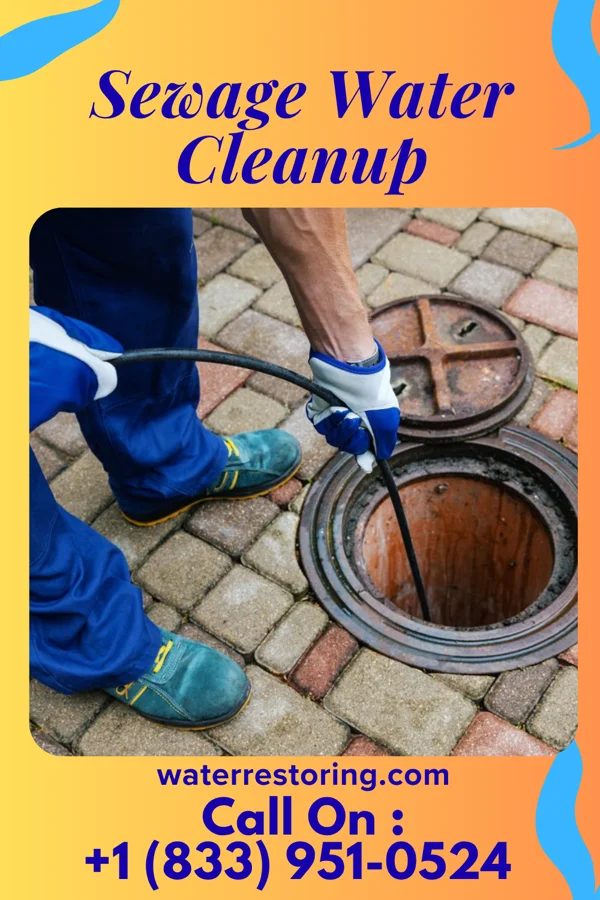 Sewage Water Cleanup in Pennsboro, WV