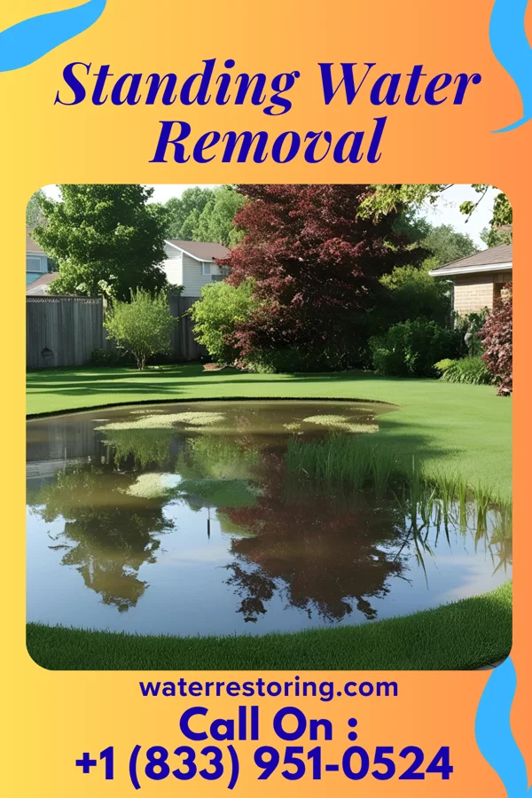 Standing Water Removal in Pennsboro, WV